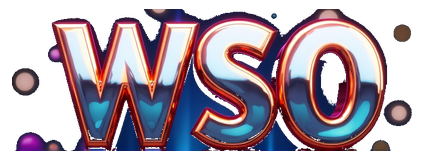 wso 138 logo